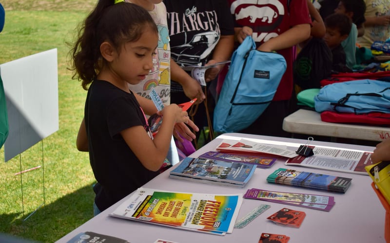 Youth Development & School Safety